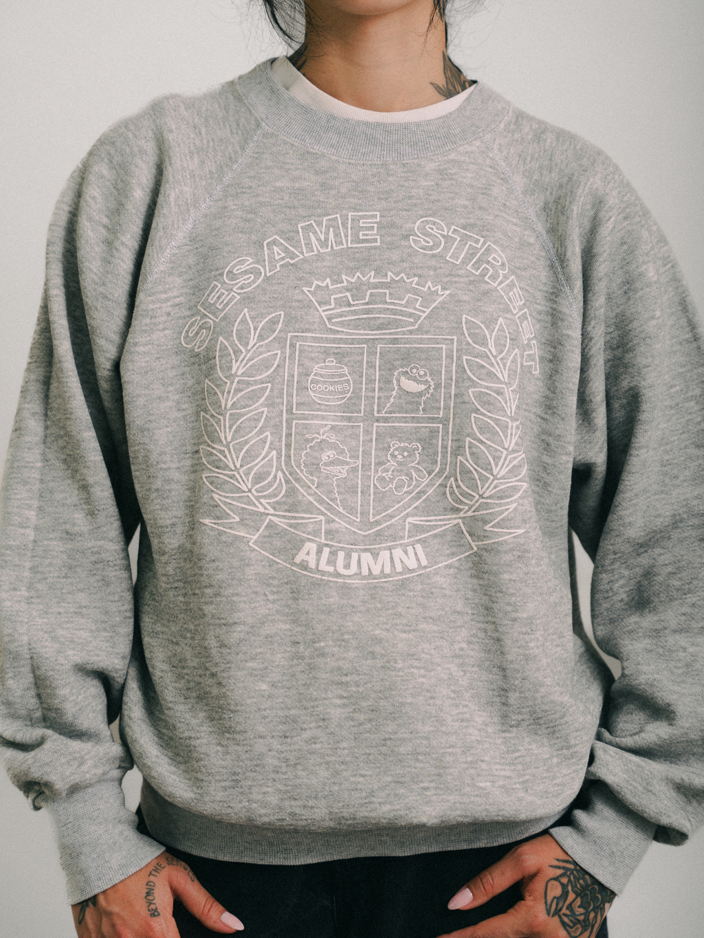 MOLETOM "SESAME STREET VINTAGE 80s"