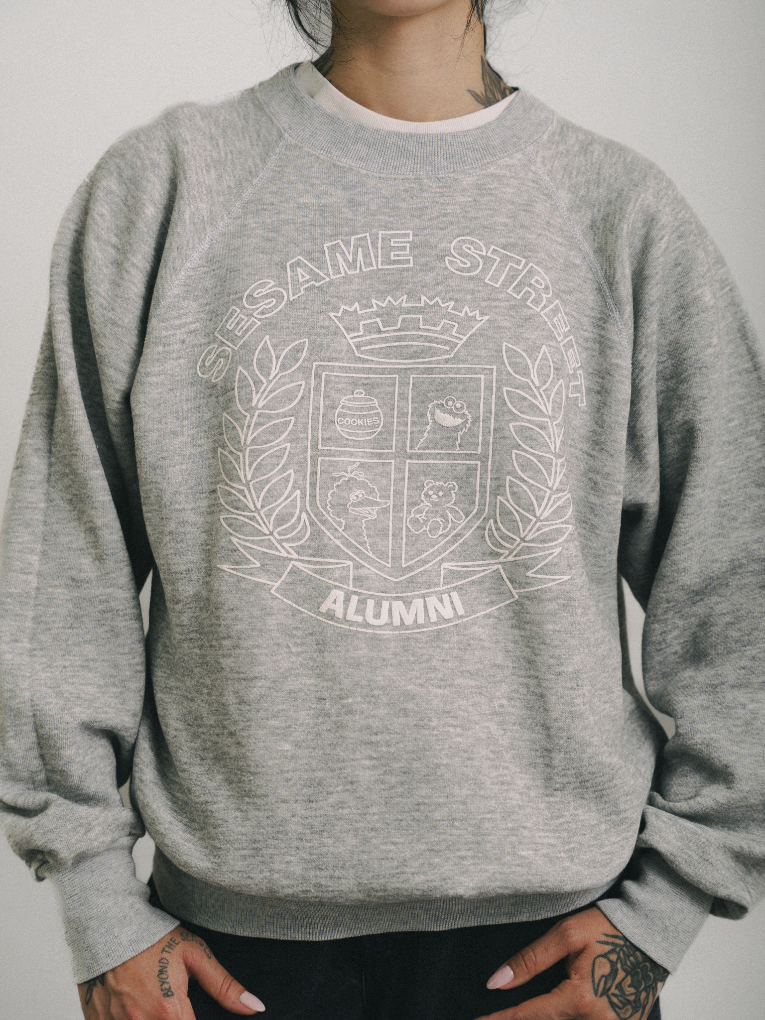 MOLETOM "SESAME STREET VINTAGE 80s"
